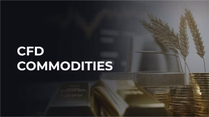 Commodities Accounts Explained – How to Open, Use & Manage Them | TradingMarketSignals Commodities Accounts