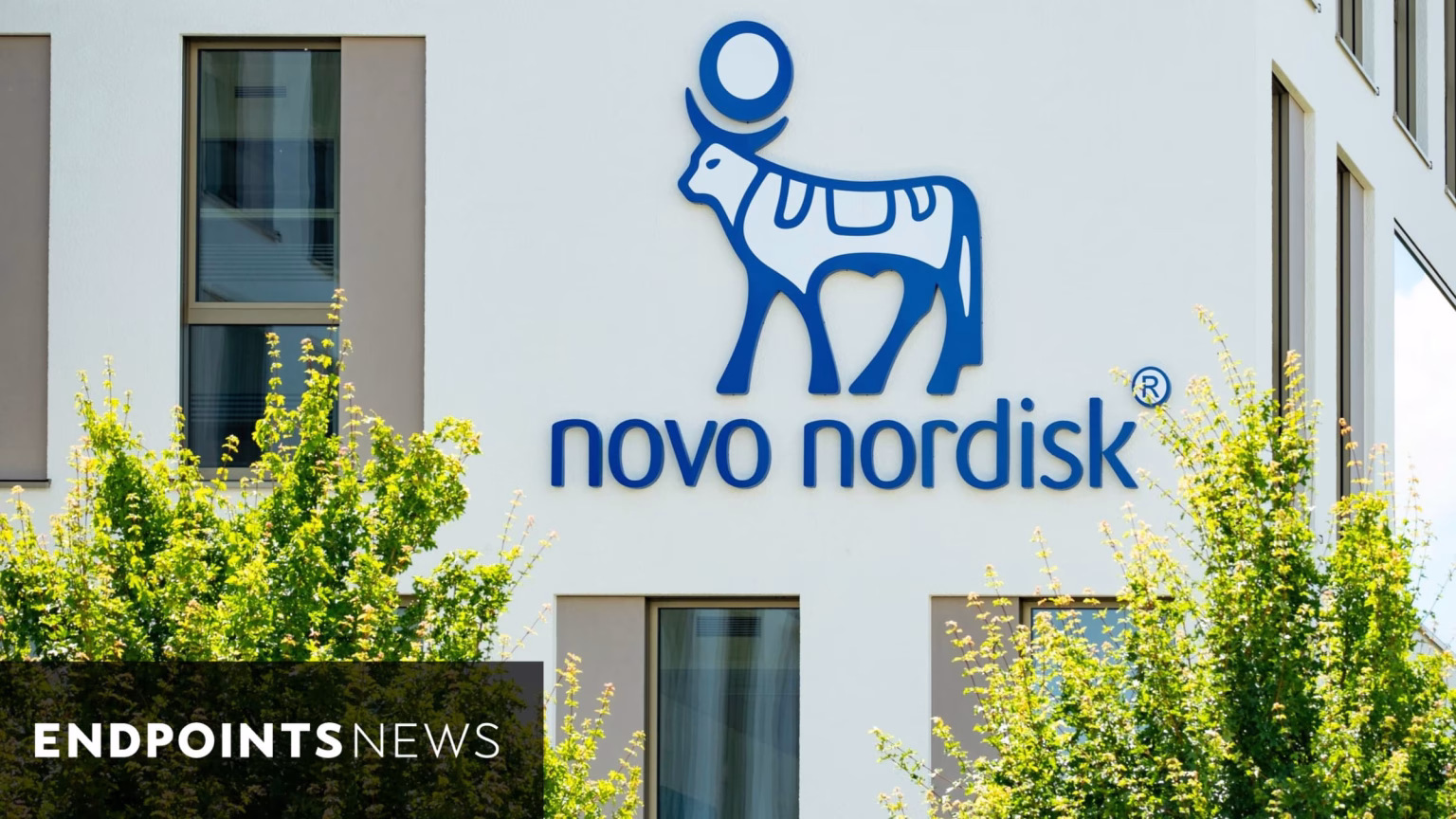 Novo Nordisk Shares Plunge 12% as Top Investor Demands Bold Board Overhaul Novo Nordisk